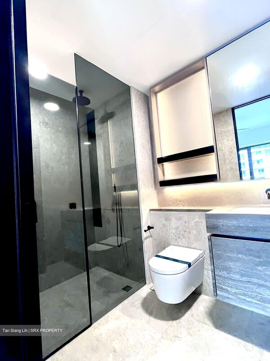 Harbourfront Avenue (D4), Condominium #479199621